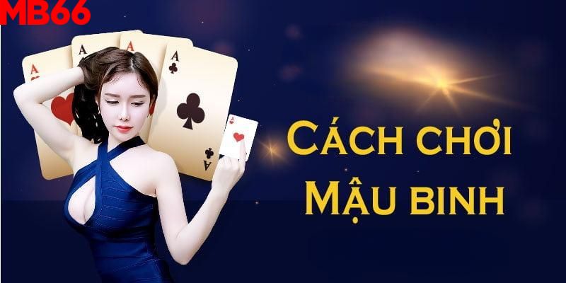 Cách chơi bài Mậu Binh cơ bản nhất