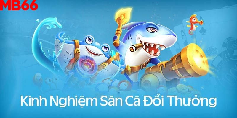 Kinh nghiệm chơi bắn cá trực tuyến từ cao thủ