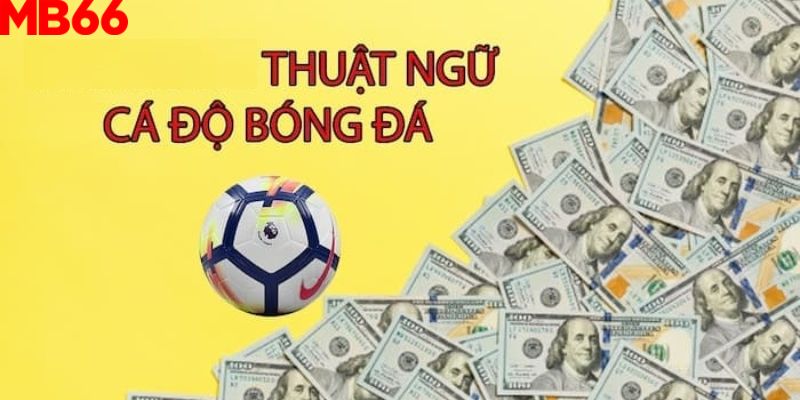 Thuật ngữ cá độ bóng đá