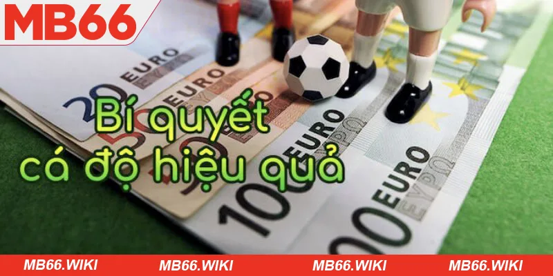 Bắt kèo hiệu quả cùng thủ thuật cá độ bóng đá