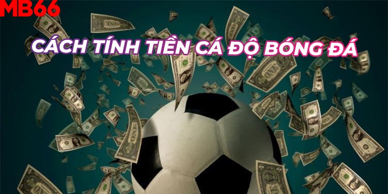 Quy trình tính tiền kèo bóng đá