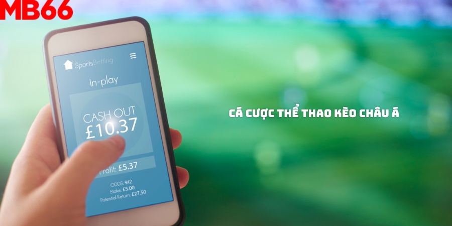 Cá cược thể thao kèo châu Á