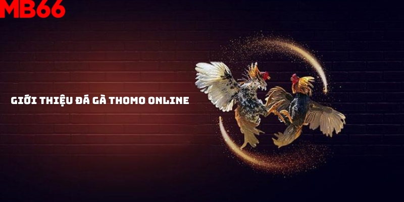 Vài nét về loại hình cá cược đá gà Thomo online