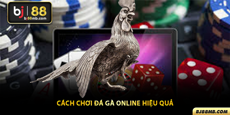 Cách chơi đá gà online hiệu quả